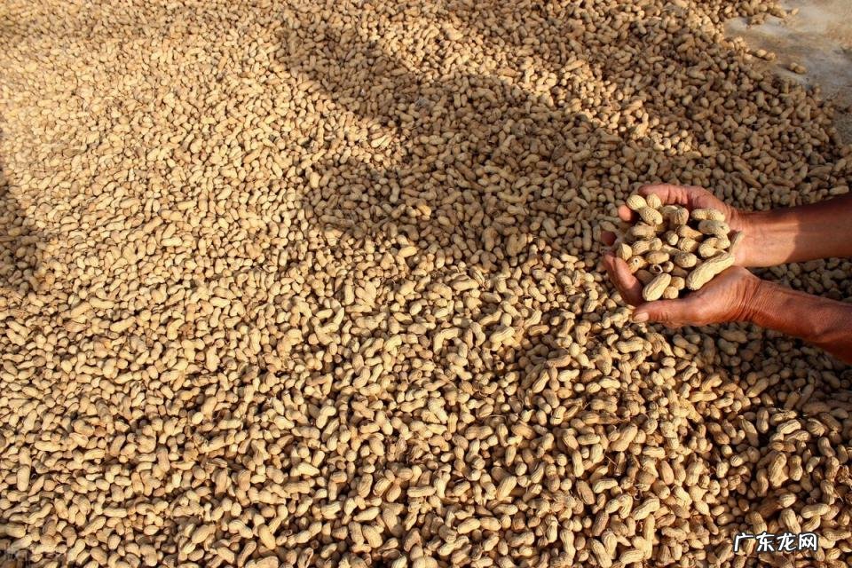 秋天打雷下雨预示着什么 秋天电闪雷鸣正常吗