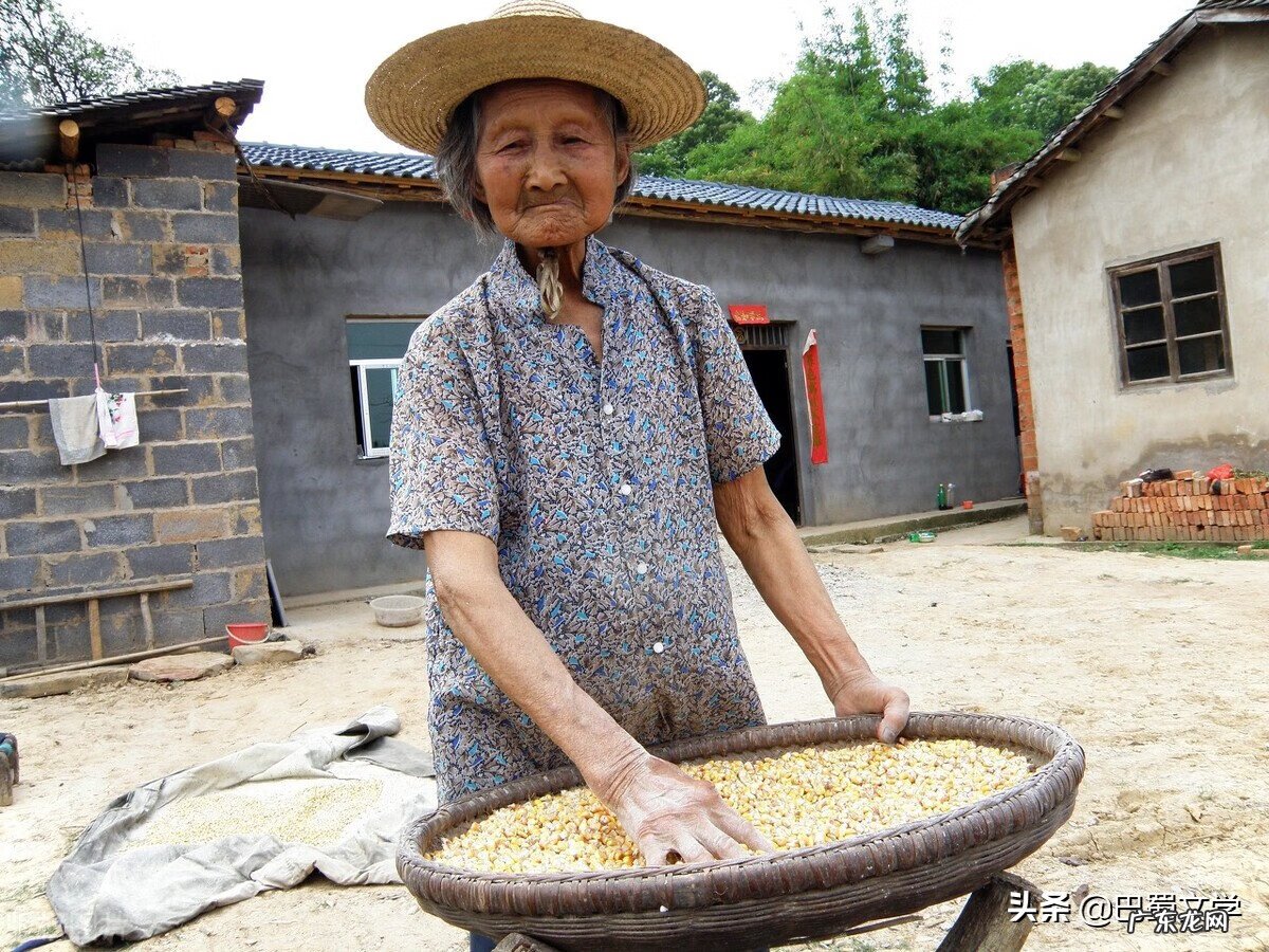 催人泪下的追忆母亲文章 怀念母亲的文章有哪些