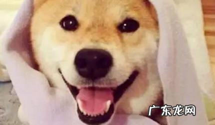 姨母笑是什么时候笑 姨母笑还有什么笑