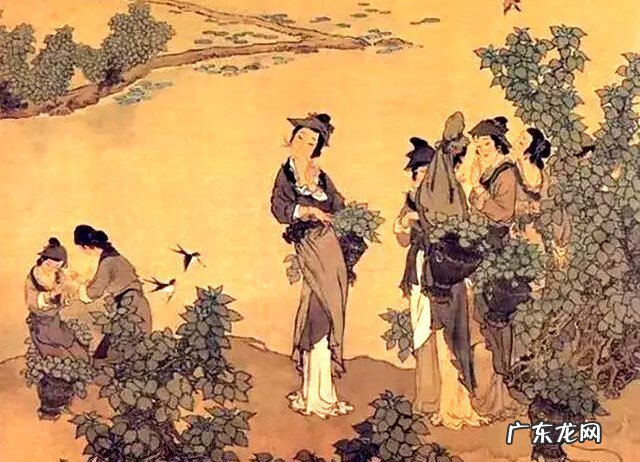 云想衣裳花想容 峨眉山下少人行的意思