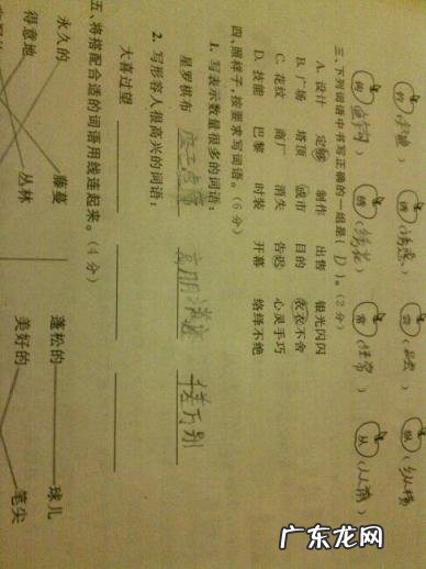 高兴的词语4个字有哪些 高兴的词语大全 表示开心的词语有哪些
