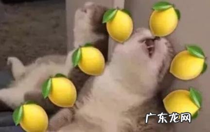 男人说话酸溜溜表达几种意思 男人说话酸溜溜是什么意思