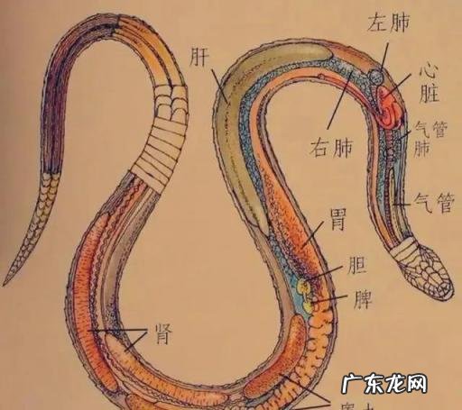 七寸照片尺寸多少厘米宽和高 七寸照片有多少厘米