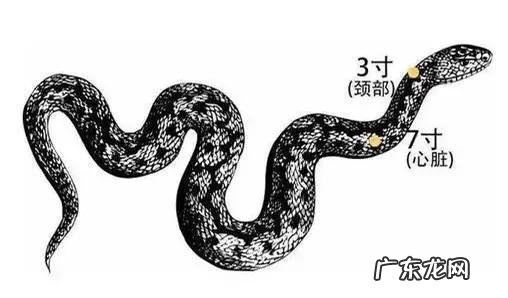 七寸照片尺寸多少厘米宽和高 七寸照片有多少厘米