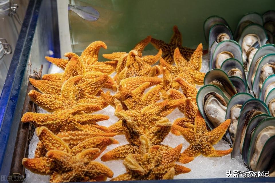 海星的吃法图解 干海星怎么吃