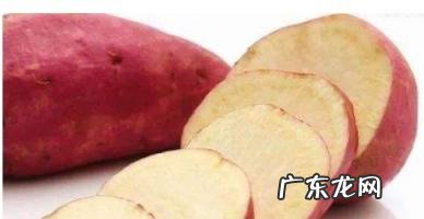红苕是什么? 什么时候种红薯