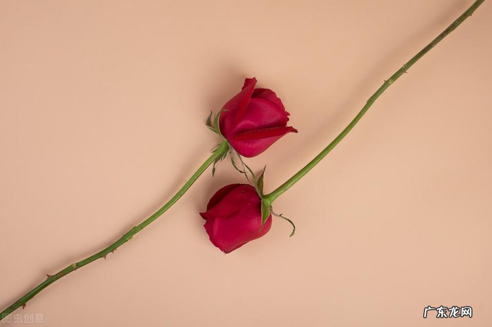 初期宫颈癌的五大征兆内裤呈现黄颜色 老年人宫颈癌的早期症状