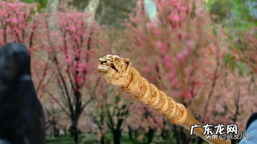 大神猴电视剧免费观看完整版厚德 大神猴电视剧高清免费观看全集