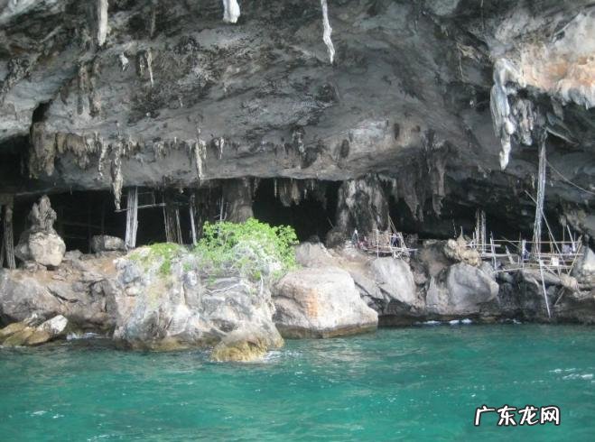 一斤卖到2万6 天然燕窝一斤多少钱