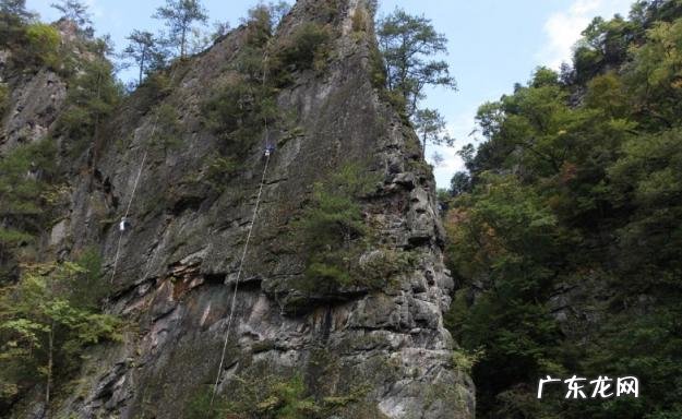 一斤卖到2万6 天然燕窝一斤多少钱