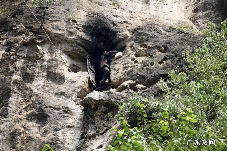 一斤卖到2万6 天然燕窝一斤多少钱