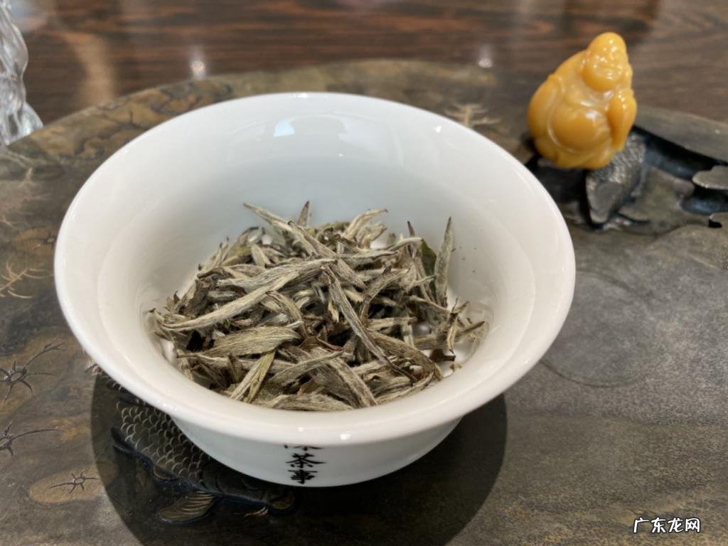 福鼎白茶属于红茶还是绿茶 白茶的知识点
