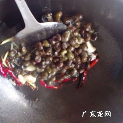 大田螺怎么做才好吃最简单做法 辣炒田螺的家常做法