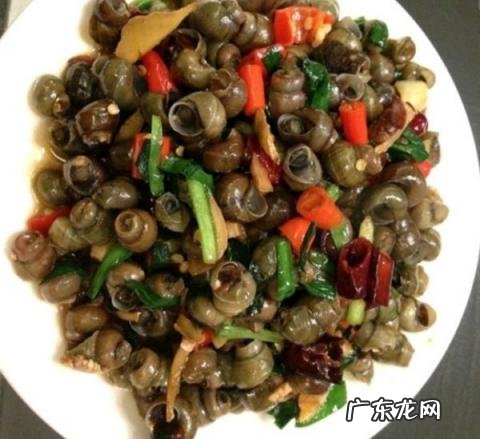 大田螺怎么做才好吃最简单做法 辣炒田螺的家常做法