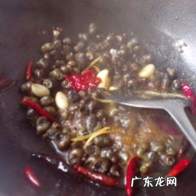 大田螺怎么做才好吃最简单做法 辣炒田螺的家常做法