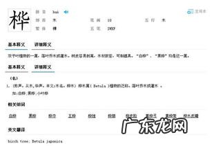 桦的拼音组词和部首音节 桦的拼音怎么读音