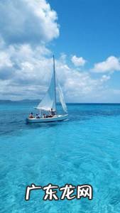 用白发苍苍造句子四年级 白发苍苍造句二年级上册