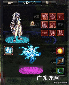 DNF宠物冰息蓝龙能封 DNF宠物黑炭头