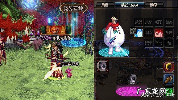 DNF宠物冰息蓝龙能封 DNF宠物黑炭头