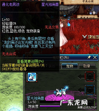 DNF宠物冰息蓝龙能封 DNF宠物黑炭头