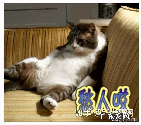 研究生报名官网 研招网官网报名入口确认