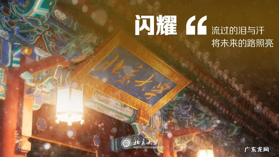 北京大学招生信息网 北大考研成绩查询入口