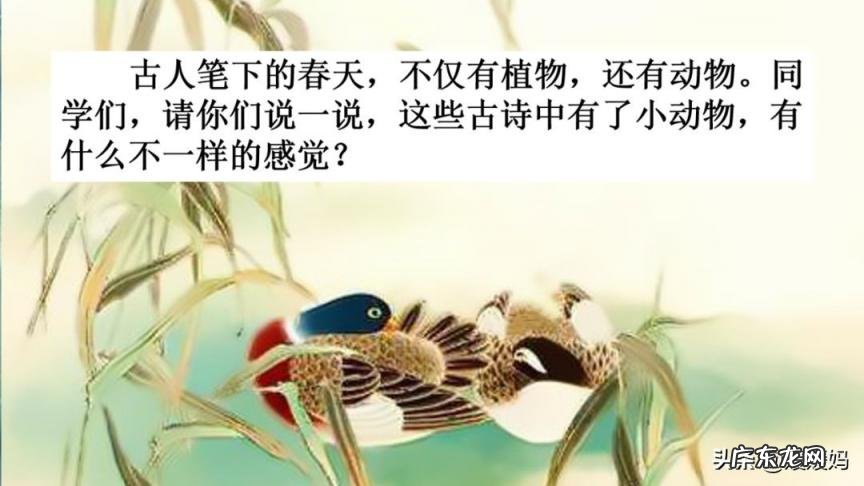 蕊怎么读组词语 蕊的读音组词