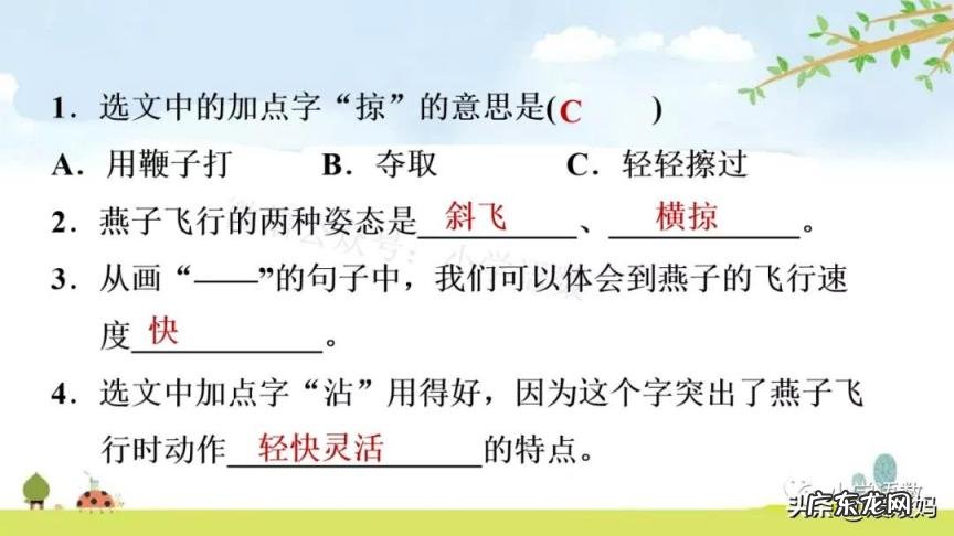 蕊怎么读组词语 蕊的读音组词