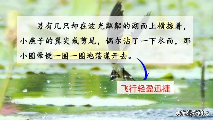 蕊怎么读组词语 蕊的读音组词