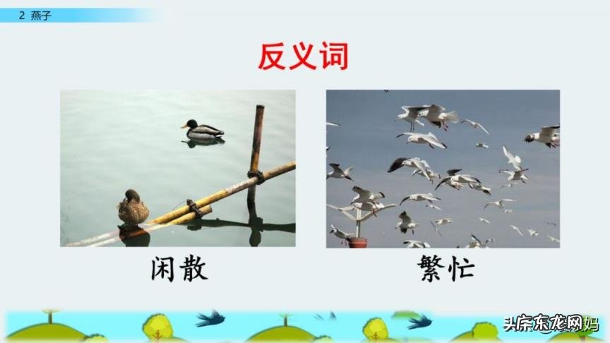 蕊怎么读组词语 蕊的读音组词