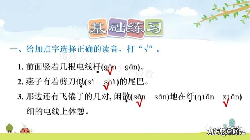 蕊怎么读组词语 蕊的读音组词