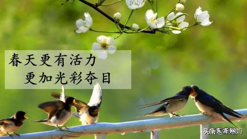 蕊怎么读组词语 蕊的读音组词