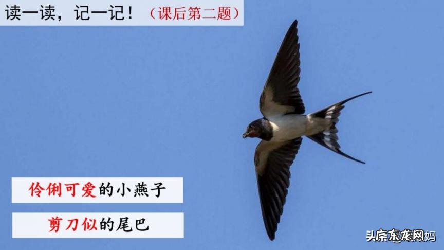 蕊怎么读组词语 蕊的读音组词