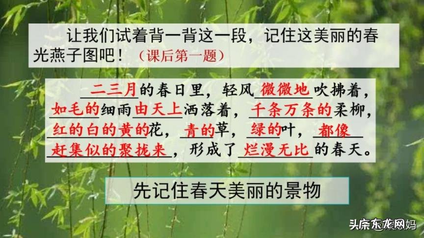 蕊怎么读组词语 蕊的读音组词