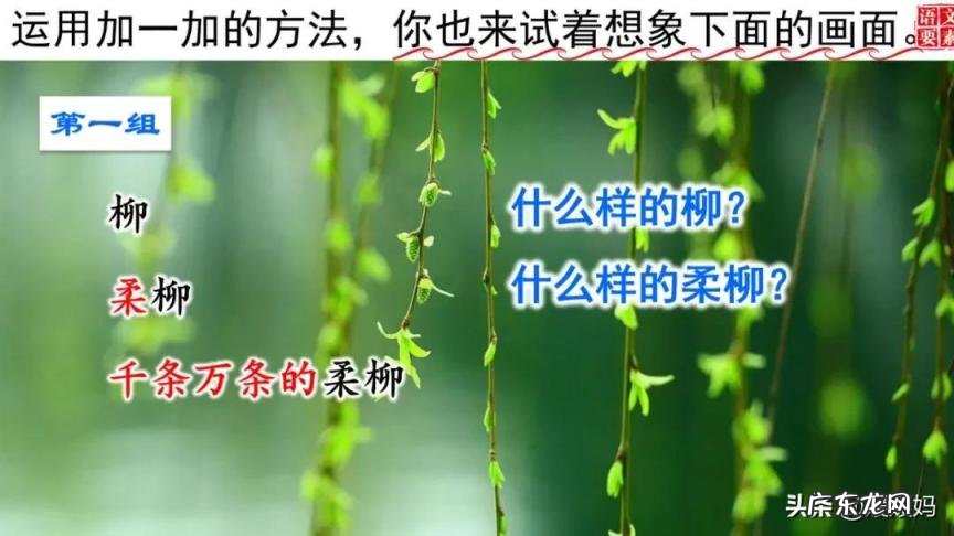 蕊怎么读组词语 蕊的读音组词