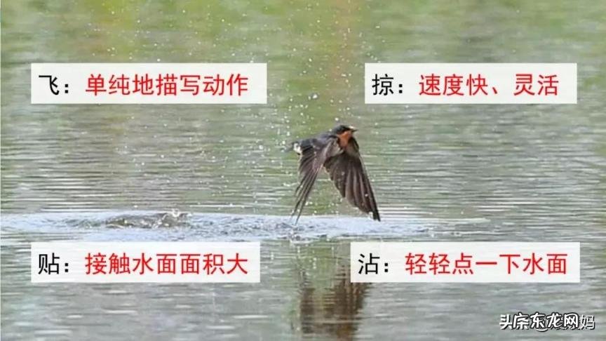 蕊怎么读组词语 蕊的读音组词