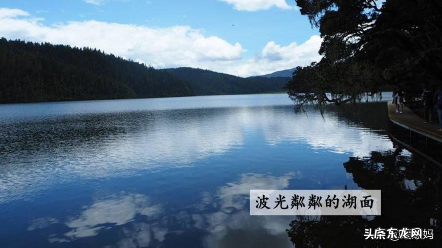 蕊怎么读组词语 蕊的读音组词