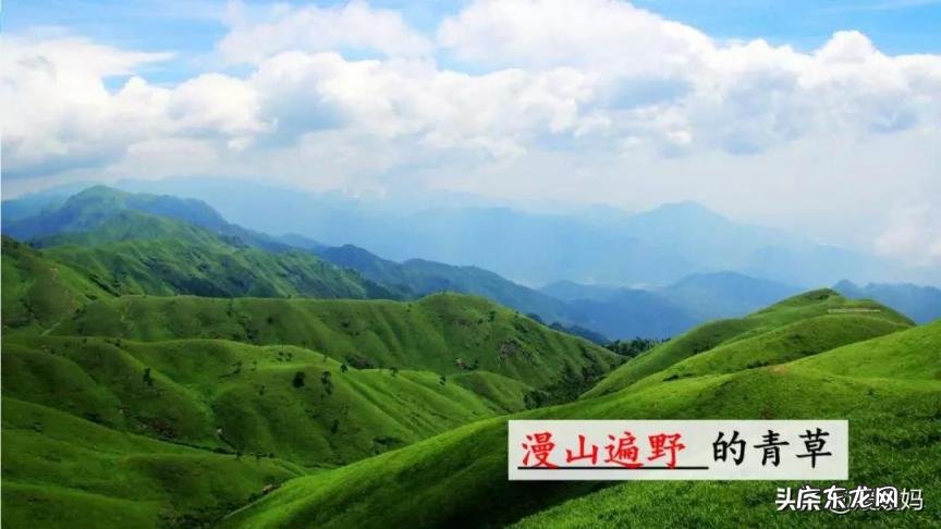 蕊怎么读组词语 蕊的读音组词