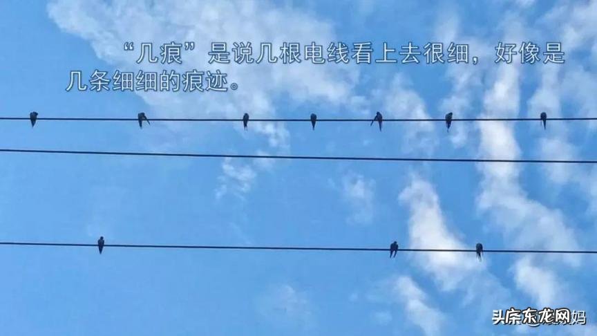 蕊怎么读组词语 蕊的读音组词