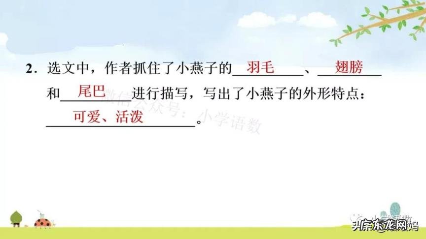 蕊怎么读组词语 蕊的读音组词