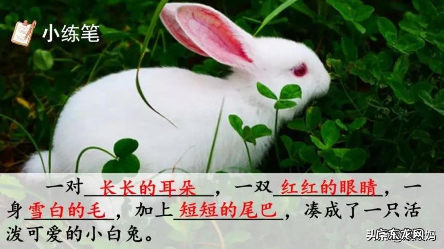 蕊怎么读组词语 蕊的读音组词