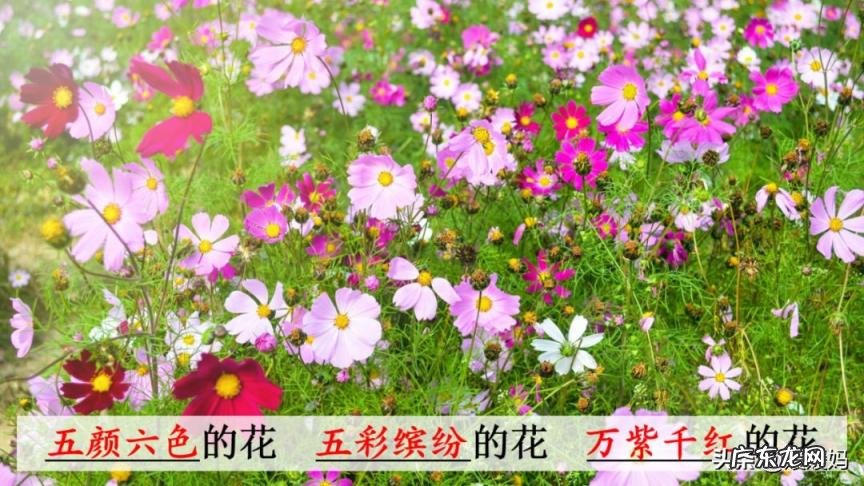 蕊怎么读组词语 蕊的读音组词