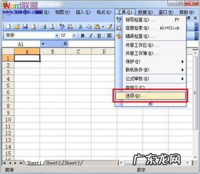 如何在excel表格设置密码 表格被密码保护了如何输入密码