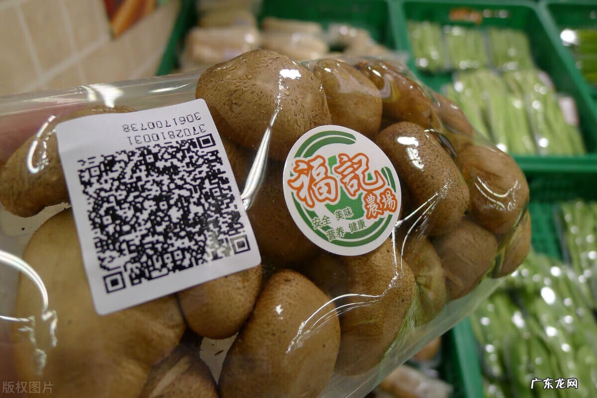 防伪码查询系统 防伪码二维码查询系统制作