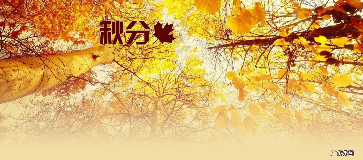 秋分适合种什么蔬菜和农作物 秋分可以种什么农作物呢