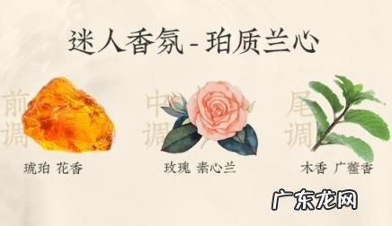 珍草堂护发精油 翠然堂护发精油怎么样用