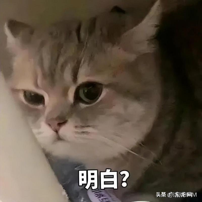 全国航班大面积取消原因是什么政策,全国航班大面积取消真相