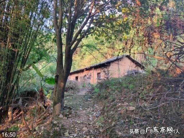 挖个水池需要怎么做 屋前挖风水池