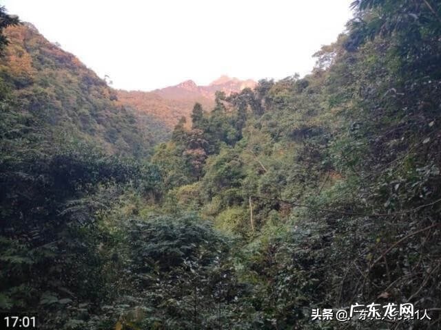 挖个水池需要怎么做 屋前挖风水池