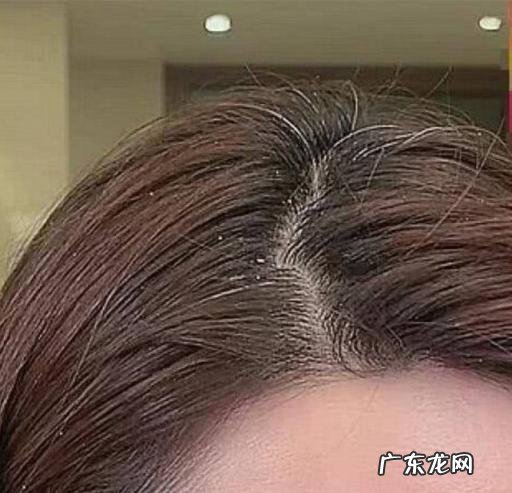 张大奕年龄83年 张大奕个人资料年龄